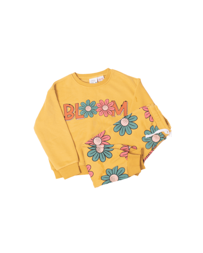Bloom set