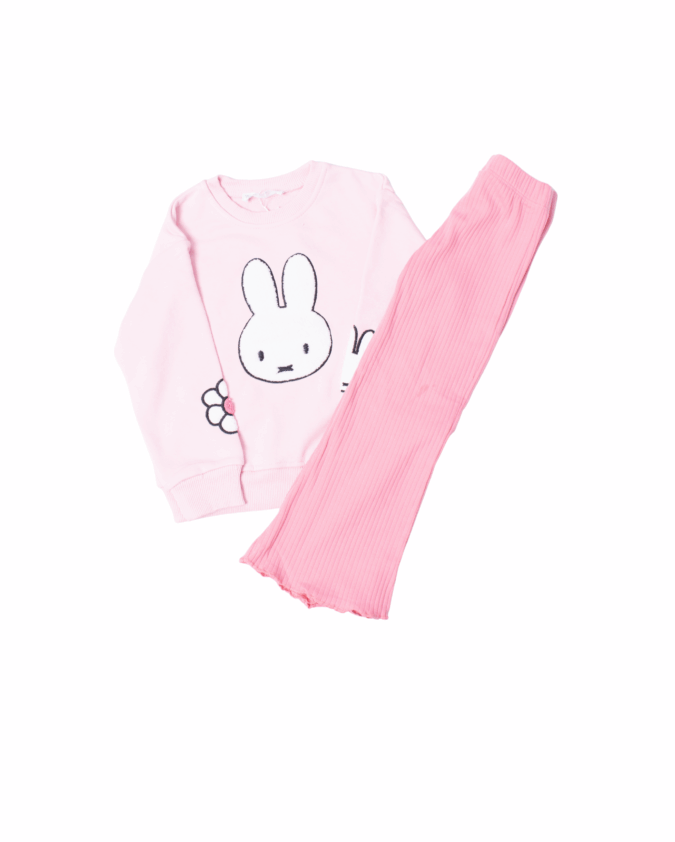 Baby pink flaired pant