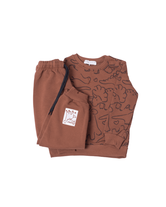 brown dino set